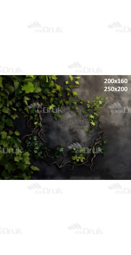 Tło fotograficzne 2833